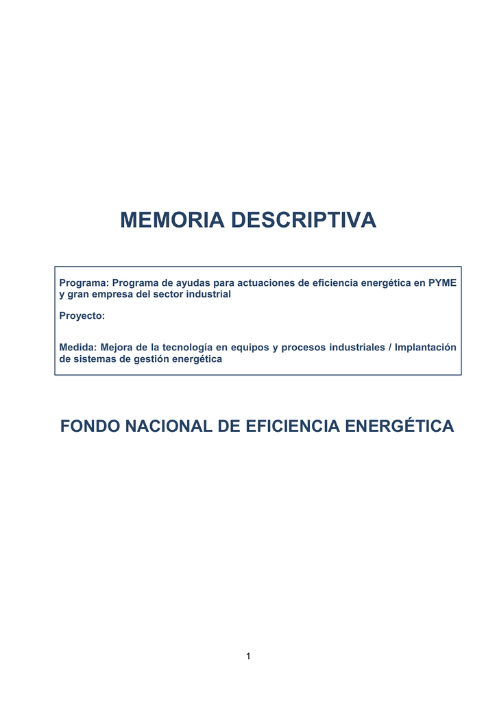 Modelo De Memoria Descriptiva Del Programa De Ayudas