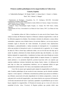 Primeros análisis palinológicos de los megarrizolitos de Tufia (Gran
