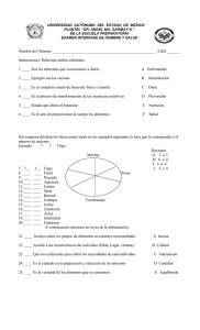 Documento218675 218675