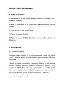 Plan de estudios de Dorado, Plateado y Policrom&iacute;a