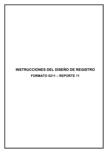 INSTRUCCIONES DEL DISEÑO DE REGISTRO – REPORTE 11 FORMATO 0211