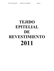2011 TEJIDO EPITELIAL DE