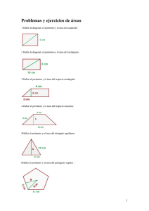 Problemas y ejercicios de áreas