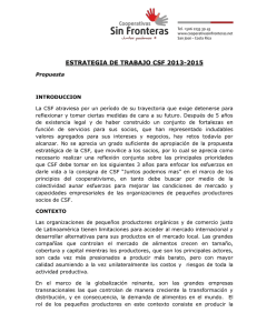 ESTRATEGIA DE TRABAJO CSF 2013-2015