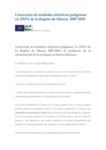 Corrección de tendidos eléctricos peligrosos en ZEPA de la Región