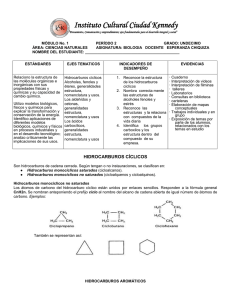 Quimica modulo - institutoculturalciudadkennedy.edu.co