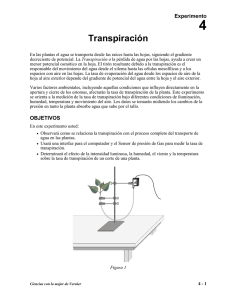 Ciencias con lo mejor de Vernier Experimento 4
