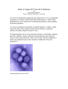 El origen del virus de la influenza A H1N1