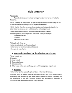 Guía anterior - Odontochile.cl