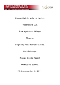 Universidad del Valle de México. Preparatoria SEC. Área: Químico