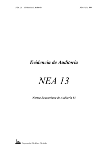 NEA 13: Evidencia de Auditoría
