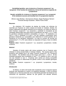 Variabilidad gen&eacute;tica para virulencia en Fusarium oxysporum f. sp