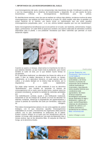 1. IMPORTANCIA DE LOS MICROORGANISMOS DEL SUELO.