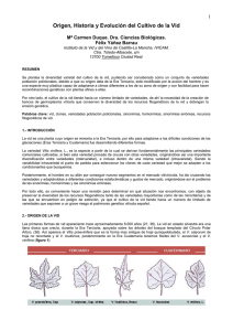 Origen, Historia y Evoluci&oacute;n del Cultivo de la Vid