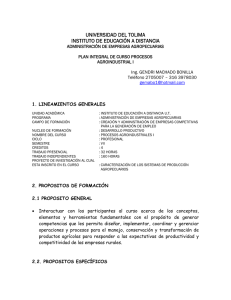 UNIVERSIDAD DEL TOLIMA INSTITUTO DE EDUCACI&Oacute;N A DISTANCIA