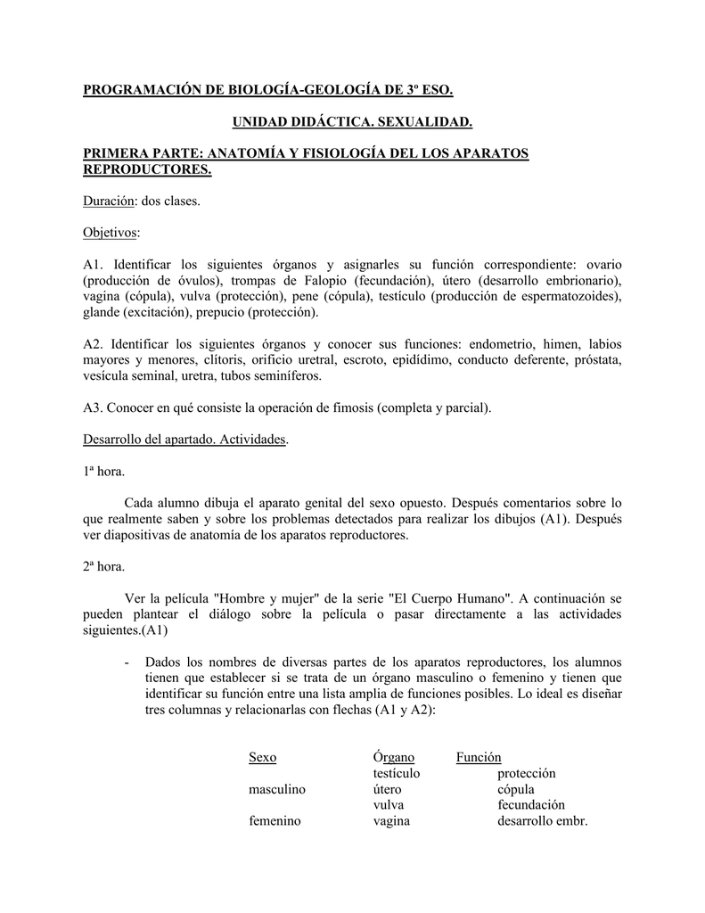escribir la función de la próstata y la vesícula seminal