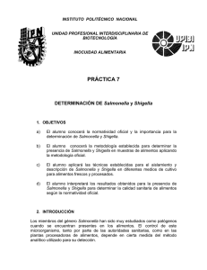 INSTITUTO  POLITÉCNICO  NACIONAL UNIDAD PROFESIONAL INTERDISCIPLINARIA DE BIOTECNOLOGÍA