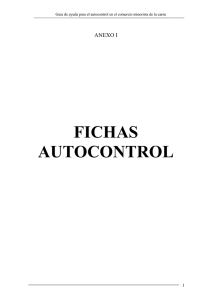 Fichas autocontrol