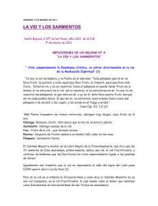 VIERNES 11 DE MARZO DE 2011 LA VID Y LOS SARMIENTOS