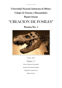 PRACTICA_1_FOSILES2 - BIOLOGIA II