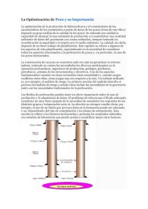 petroleros/Geomecanica Schlumberger/Geomecanica del pozo