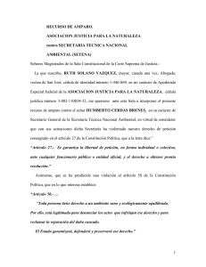 RECURSO DE AMPARO. ASOCIACION JUSTICIA PARA LA NATURALEZA contra SECRETARIA TECNICA NACIONAL