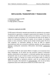 tema_7_replic_transcrip_traduc