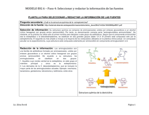 Plantilla para seleccionar y redactar la información de las fuentes