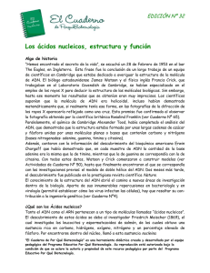 Los ácidos nucleicos, estructura y función EDICIÓN Nº 32 Algo de historia