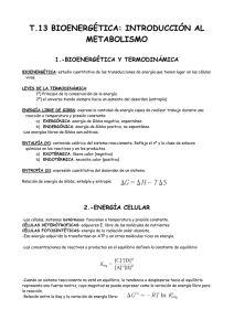 T.13 BIOENERGÉTICA: INTRODUCCIÓN AL METABOLISMO 1.-BIOENERGÉTICA Y TERMODINÁMICA