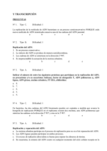 Y TRANSCRIPCIÓN