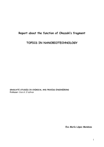 Report about the function of Okazaki`s fragment