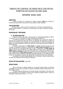 Ensayo Afital fosfitos – Informe Junio 2009