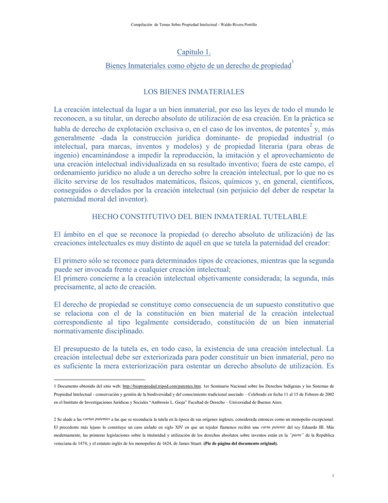 LOS BIENES INMATERIALES