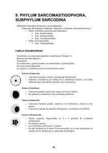 Entamoeba polecki