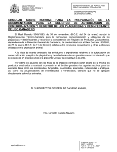 CIRCULAR &hellip;&hellip;/2005 SOBRE NORMAS PARA LA PREPARACI&Oacute;N