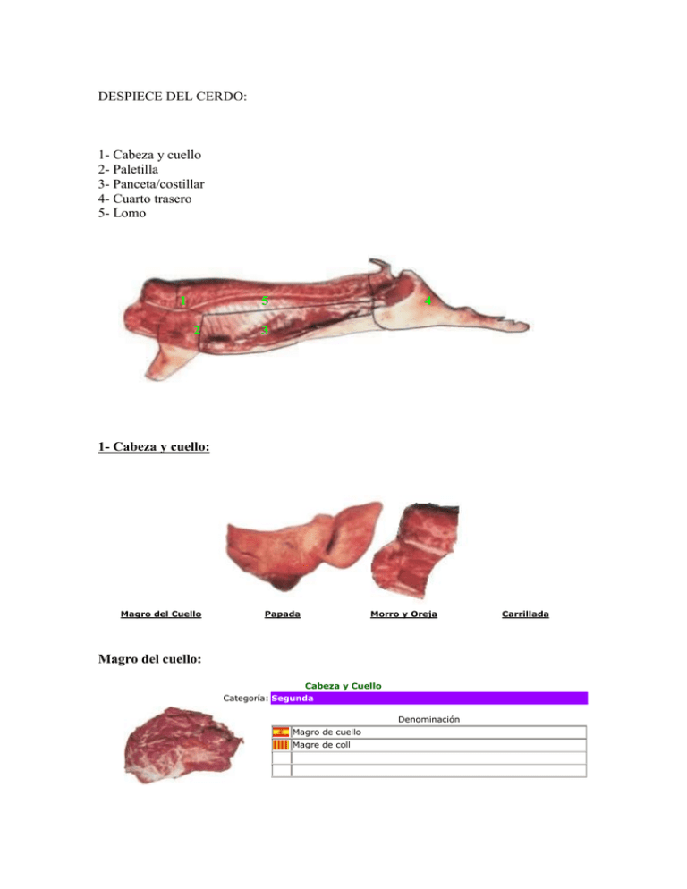 Despiece Del Cerdo 3381