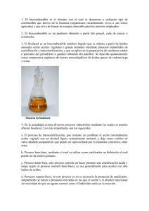 TP Biodiesel Elyeche - TERMINADO