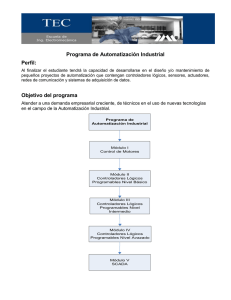 Programa de Automatización Industrial Perfil: