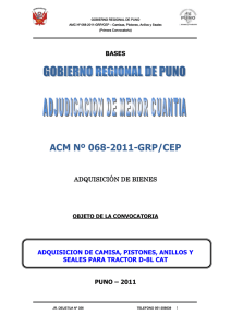 2011-068-GRP-CEP-ADJUDICACION-DE-MENOR