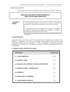 DIRECTOR/A NACIONAL DE OBRAS HIDRÁULICAS DIRECCIÓN DE OBRAS HIDRÁULICAS