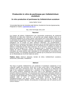 Producción in vitro de pectinasas por Colletotrichum acutatum
