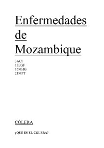 Enfermedades de Mozambique