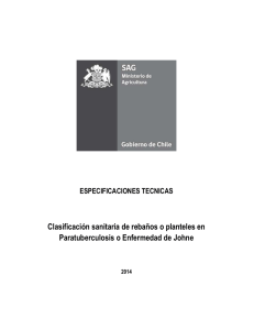 Clasificación sanitaria de rebaños o planteles en ESPECIFICACIONES TECNICAS 2014