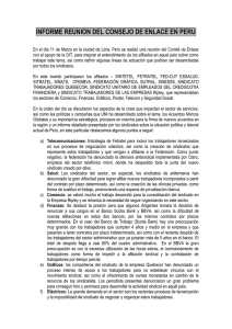INFORME REUNION DEL CONSEJO DE ENLACE EN PERU