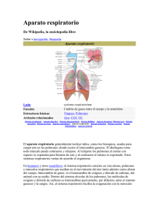Aparato respiratorio - ANATOMÍA Y FISIOLOGÍA HUMANA Prof. Ana