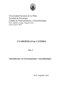 Introducción a la Neuroanatomía y Neurofisiología