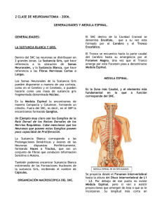 2-generalidades-y-medula-espinal-m1w