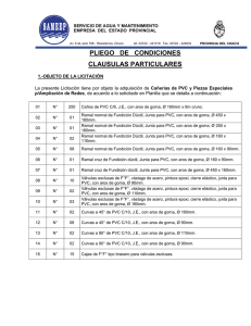 PLIEGO   DE   CONDICIONES CLAUSULAS PARTICULARES