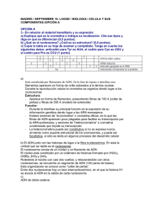 t6 Acidos nucleicos